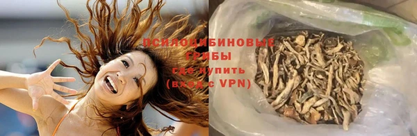 гашик Армянск